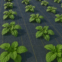 43144_43145_43146_MALLA ANTIHIERBAS 150 GR (2)