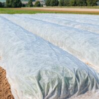 43161_43162_43163_MANTO DE PROTECCIÓN-1