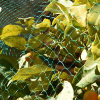 43200_43201_43203_43204_MALLA-ANTIPÁJAROS-VERDE-1