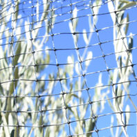 43211_MALLA-ANTIPÁJAROS-NEGRA-1