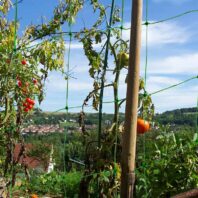 43220_43221_43223_43224_MALLA-ENTUTORAR-POLIETILENO-ALTA-DENSIDAD-(1)