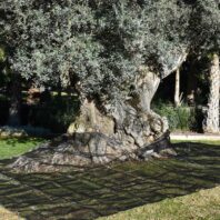 43301_43302_43303_43304_MANTO-RECOLECCIÓN-POLIETILENO-ALTA-DENSIDAD-(2)