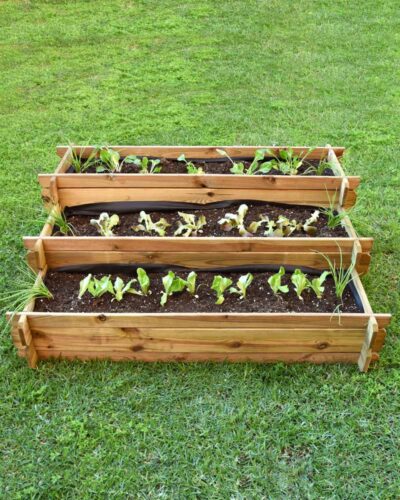 Huerto Urbano Escalera