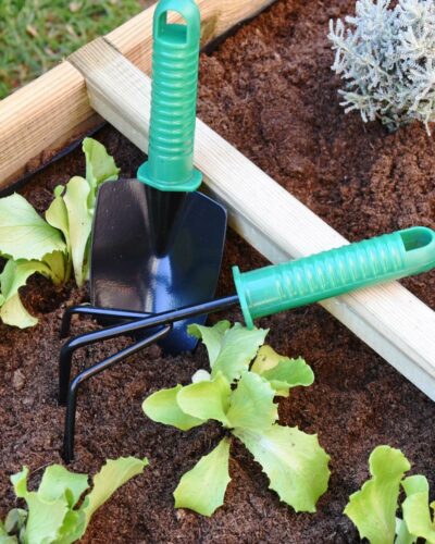 Pack Pala y Rastrillo