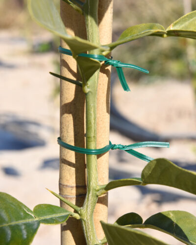 Alambre Plastificado con Cortador