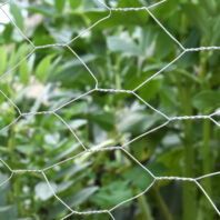 70152_70153_70154_70155_70156_70151_70157_70158_70159_70160_70161_70162_MALLA-HEXAGONAL-GALVANIZADA-TRIPLE-TORSIÓN-(1)