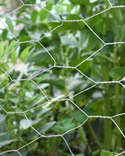 Malla Hexagonal Galvanizada