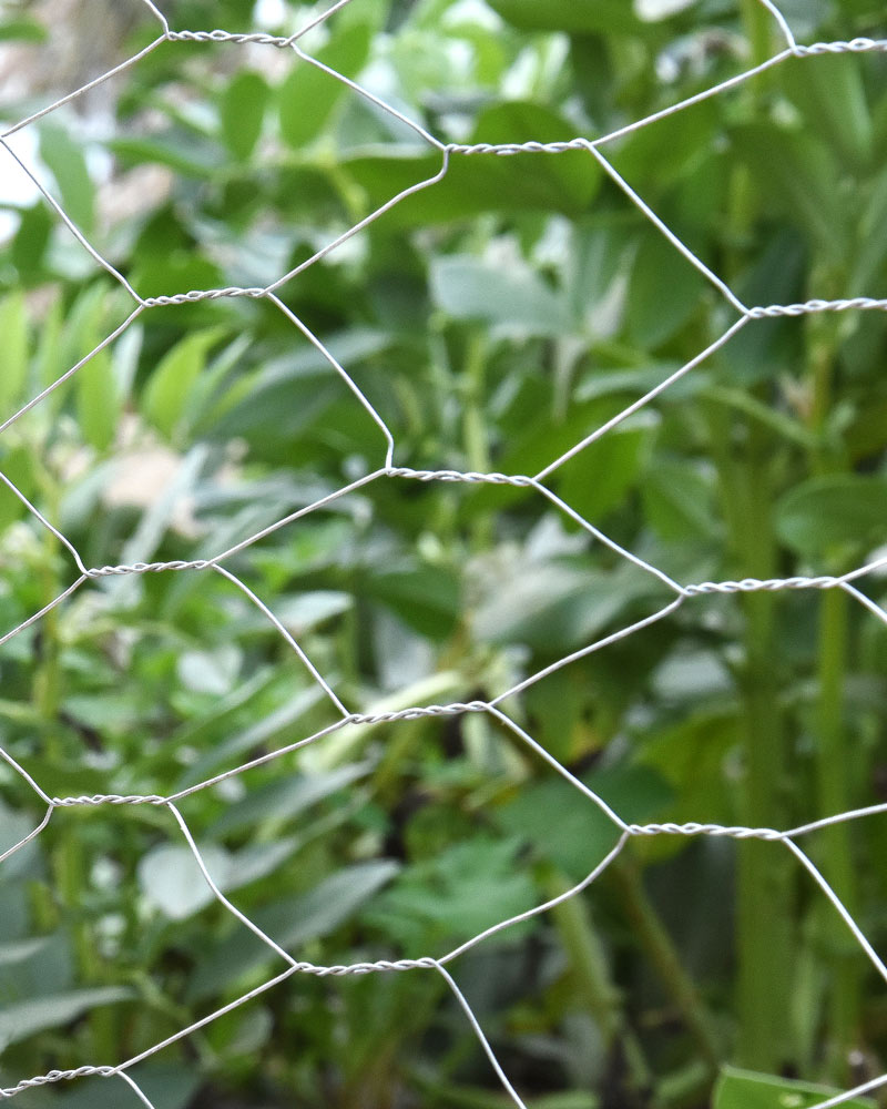 70152_70153_70154_70155_70156_70151_70157_70158_70159_70160_70161_70162_MALLA-HEXAGONAL-GALVANIZADA-TRIPLE-TORSIÓN-(1)