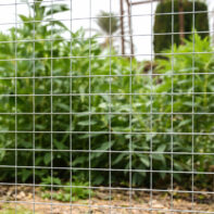 74151_745152-74153_MALLA CUADRADA GALVANIZADA -1--