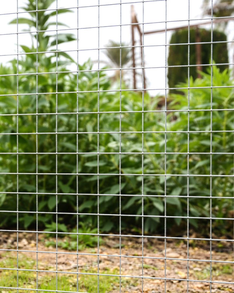 74151_745152-74153_MALLA CUADRADA GALVANIZADA -1-- 74151_745152-74153_MALLA CUADRADA GALVANIZADA -1--