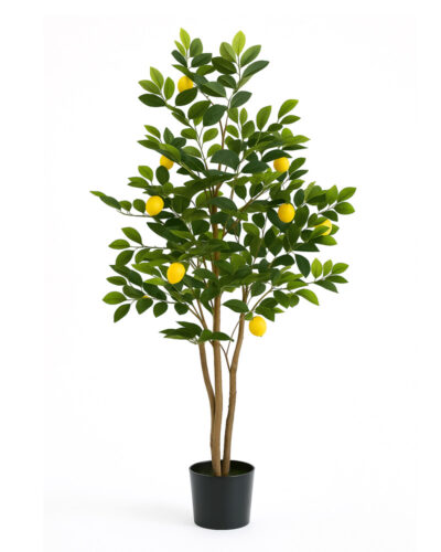 Limonero | Planta Artificial