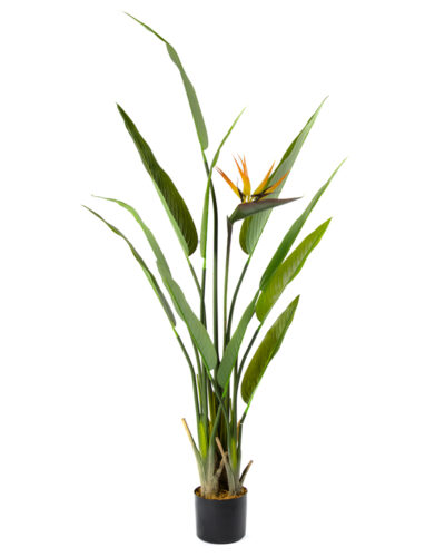 Flor del Paraíso | Planta Artificial