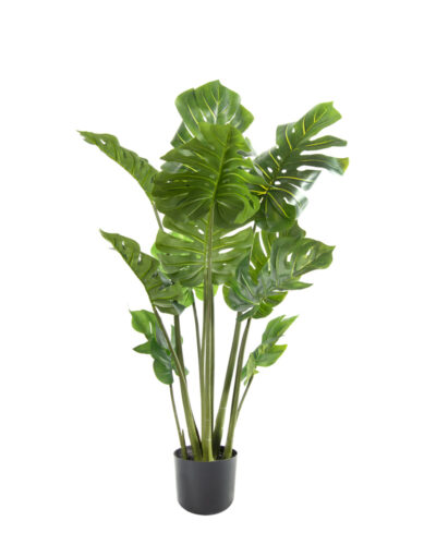 Monstera | Planta Artificial