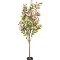 80522-ALMENDRO-ROSA-1