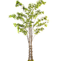 80527-TRONCO-DECORATIVO-1