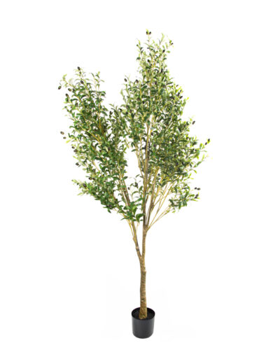 Olivo | Planta Artificial