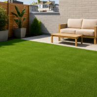 BAHAMAS-CEPED-ARTIFICIAL-CAÑIZOS-FAURA-2