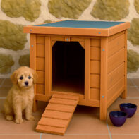 Caseta Madera -Woody-2