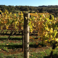 PARTE-IZQUIEDA-DE-LA-IMAGEN