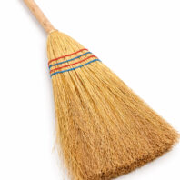 28012_ESCOBA_MIJO_3