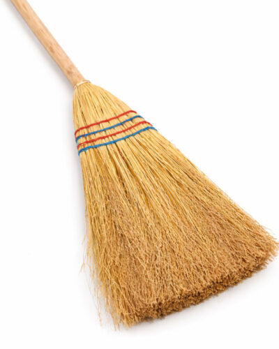 28012_ESCOBA_MIJO_3