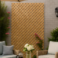 CELOSIA COMPOSITE-SIN MARCO-1