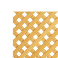 CELOSIA COMPOSITE-SIN MARCO-1.8