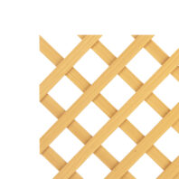 CELOSIA COMPOSITE-SIN MARCO-4.5