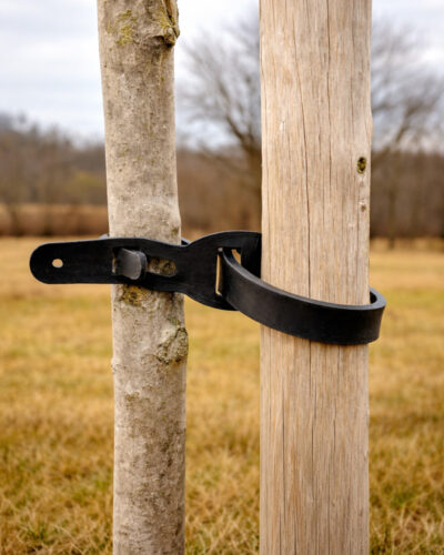 Cinturón de Entutorar